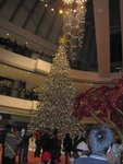 IMG_0082