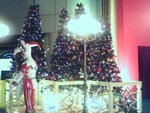 P18-12-06_20.55