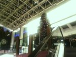 P18-12-06_20.57[1]