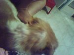 P02-08-06_21.26