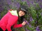 lavender garden in Yuen Long