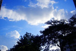 CIMG0569b