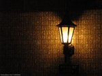 IMG_0955