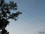 IMG_4012a