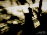 IMG_4847