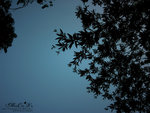 IMG_4865