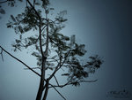 IMG_4870 複製