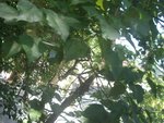 IMGP0029