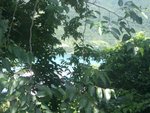IMGP0030