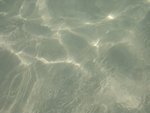 IMGP0050