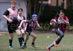 MKY mini rugby_-53