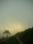 DSCN2178
