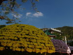 PC310042