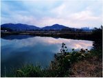 調整大小P2040086