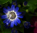 調整大小P3180040