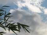 藍天-2