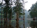PA070660