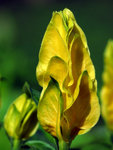 IMG_0349_edited