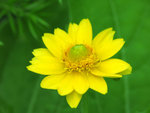 IMG_0358_edited