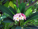 IMG_0372_edited