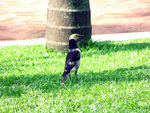 IMG_0375_edited