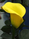IMG_1698