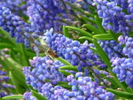 IMG_1719