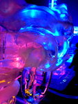 DSC00017