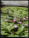 PICT0045