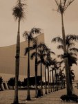 DSC01624