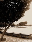 DSC01625
