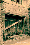 IMG_8945_3 copy
