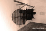IMG_9095_2