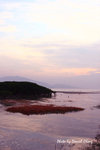 紅海