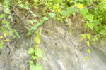 DSC00197_5