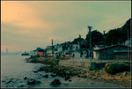DSC_0087-copy