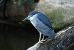 STC_8903