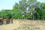 A 大吳可 (69)