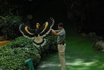 Singapore (164)