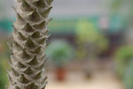 G 永利街 (26)