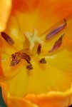 展201003 (27)