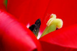 展201003 (36)