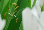 展201003 (39)