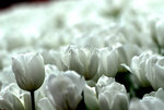 展201003 (44)