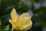 VCH_5354