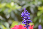 VCH_5357