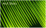 leaf3