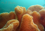 P1030186
