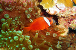 P1030201a