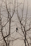 _DSC0325